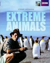 Animales al l�mite (BBC) ( 2002)