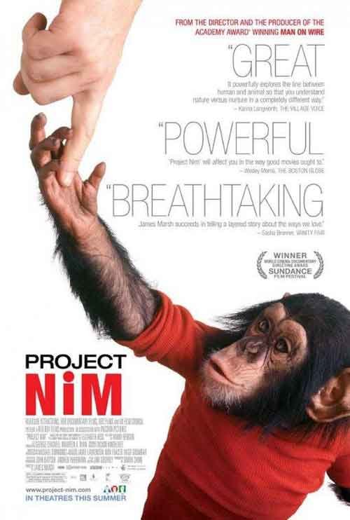 Proyecto NIM (James Marsh 2011)