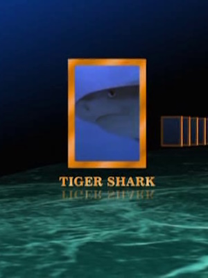El tibur�n tigre (NGS) ( 2000)