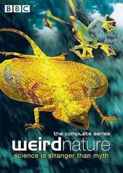 Animales sobrenaturales (BBC) ( 2002)